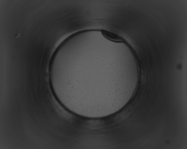 X0000091861468200710031030