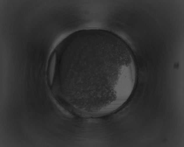 X0000091861469200710031030