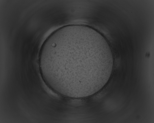 X0000091861470200710031030