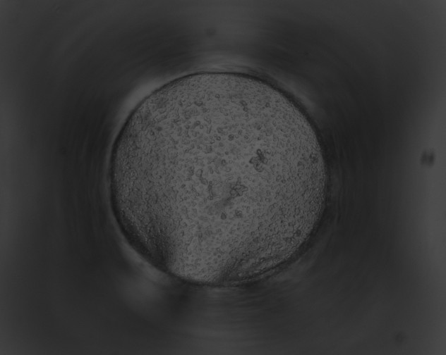 X0000091861471200710031030