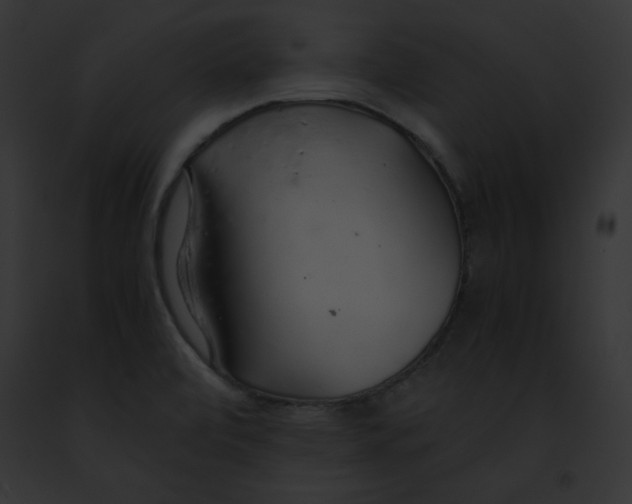 X0000091861472200710031030