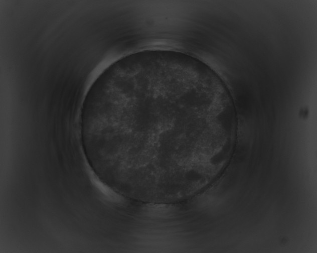 X0000091861474200710031030