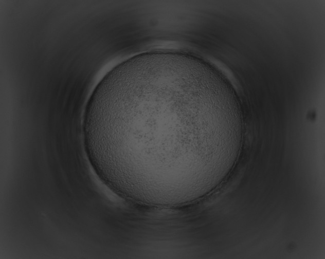 X0000091861475200710031030