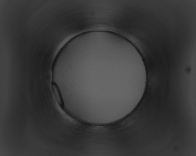 X0000091861476200710031030