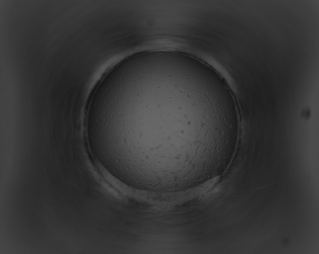 X0000091861477200710031030