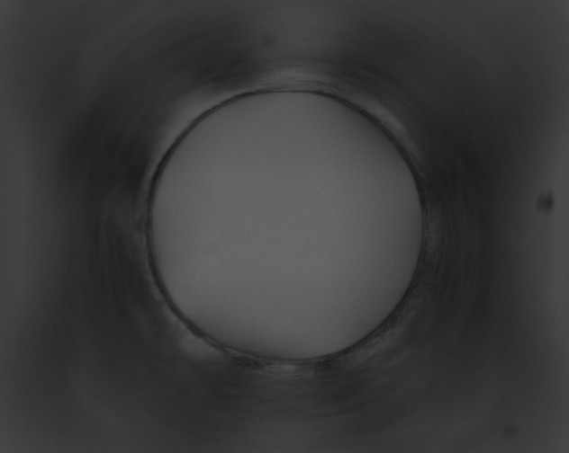 X0000091861478200710031030