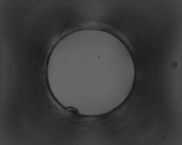 X0000091861479200710031030