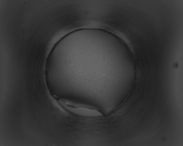 X0000091861480200710031030