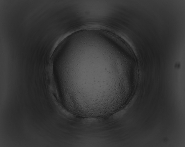 X0000091861481200710031030