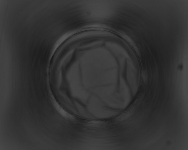 X0000091861482200710031030