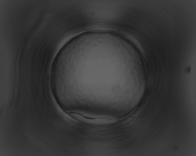 X0000091861483200710031030