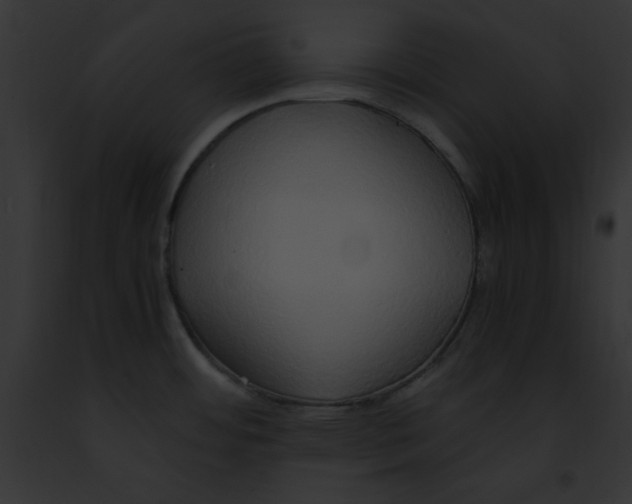 X0000091861484200710031030