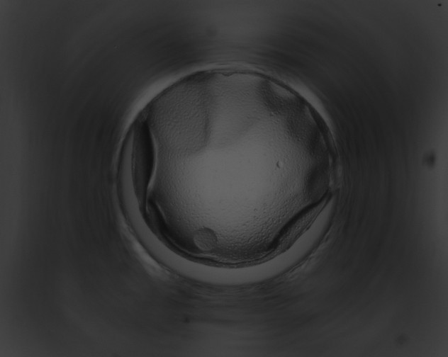 X0000091861485200710031030