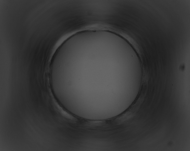 X0000091861486200710031030