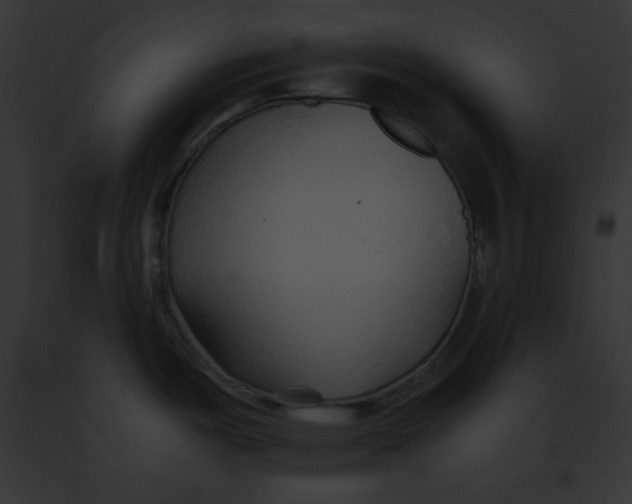 X0000091861487200710031030