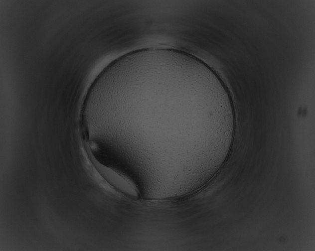 X0000091861488200710031030