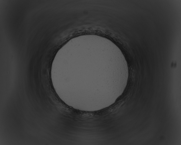 X0000091861489200710031029