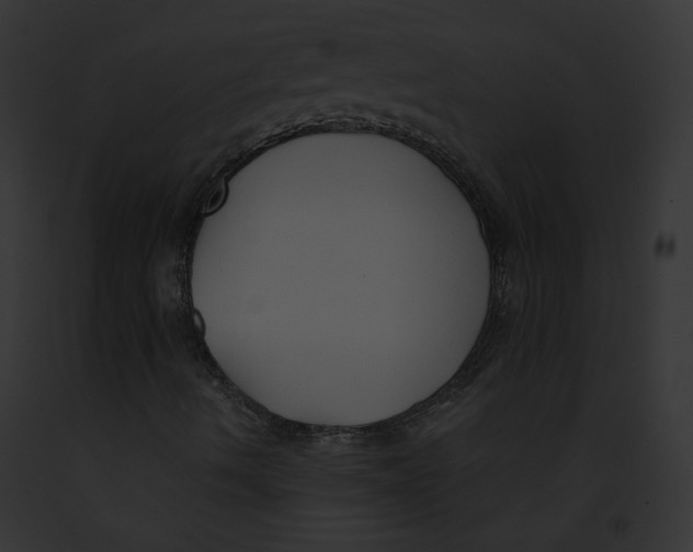 X0000091861490200710031029