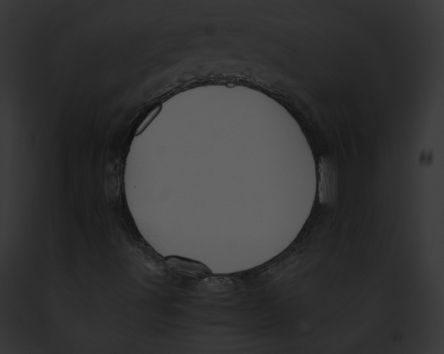 X0000091861491200710031029