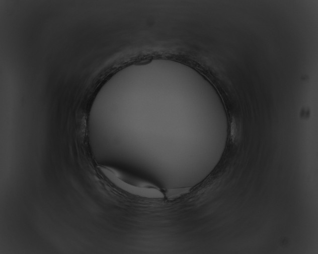 X0000091861492200710031029