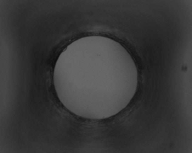 X0000091861493200710031029