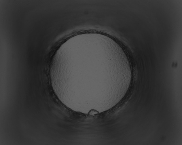 X0000091861494200710031029