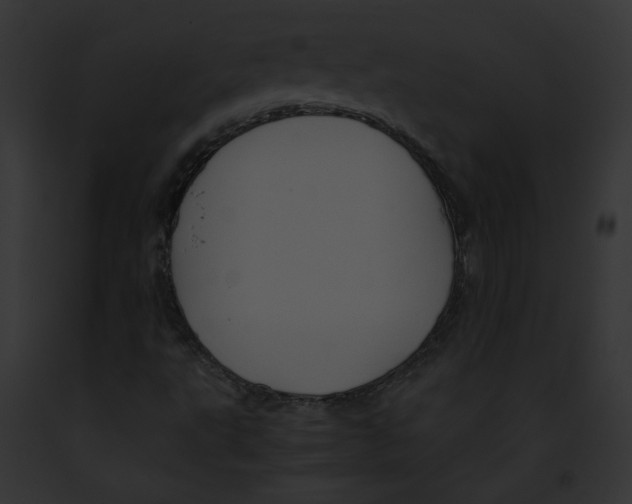 X0000091861495200710031029