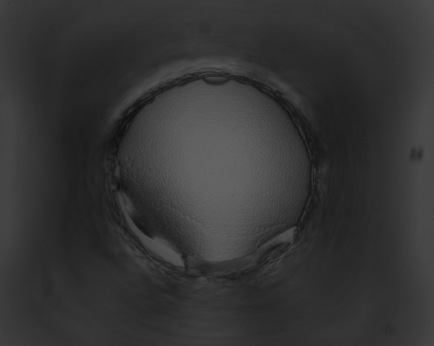 X0000091861496200710031029