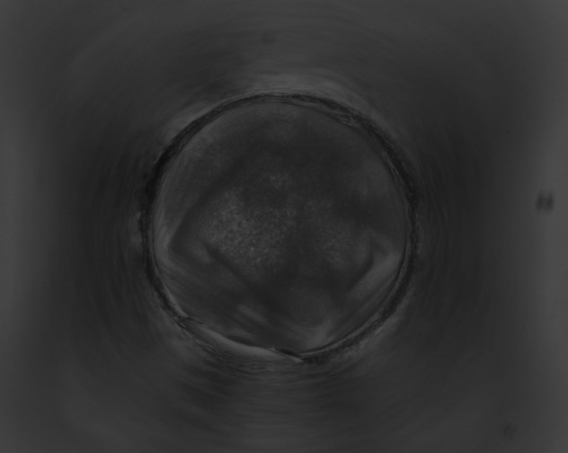 X0000091861497200710031029