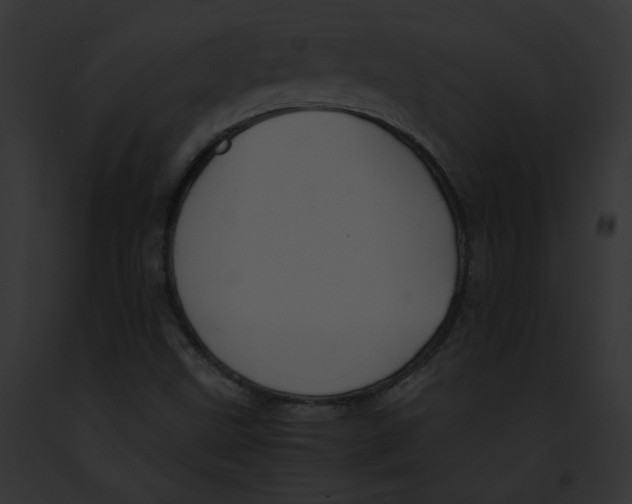 X0000091861499200710031029