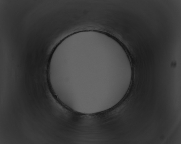 X0000091861500200710031029