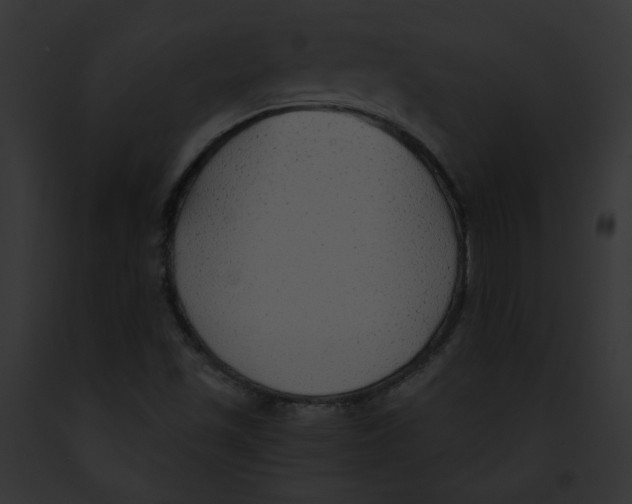 X0000091861501200710031029