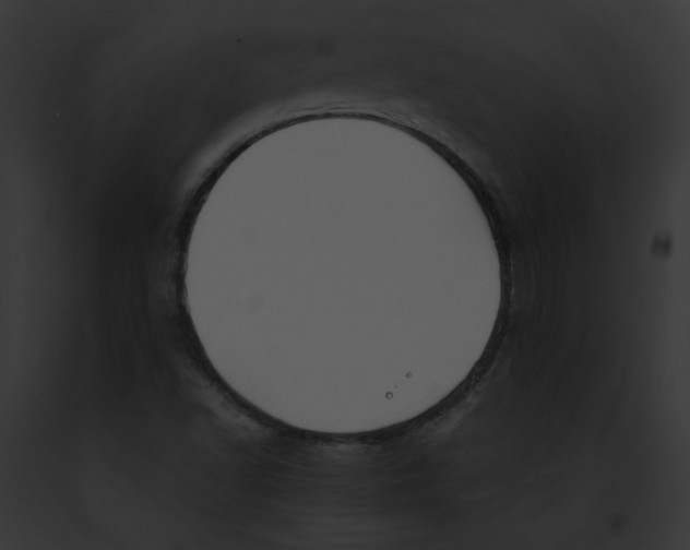 X0000091861502200710031029