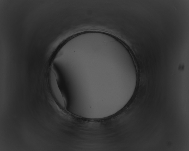 X0000091861503200710031029