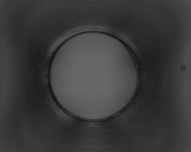 X0000091861504200710031029