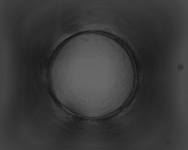 X0000091861505200710031029