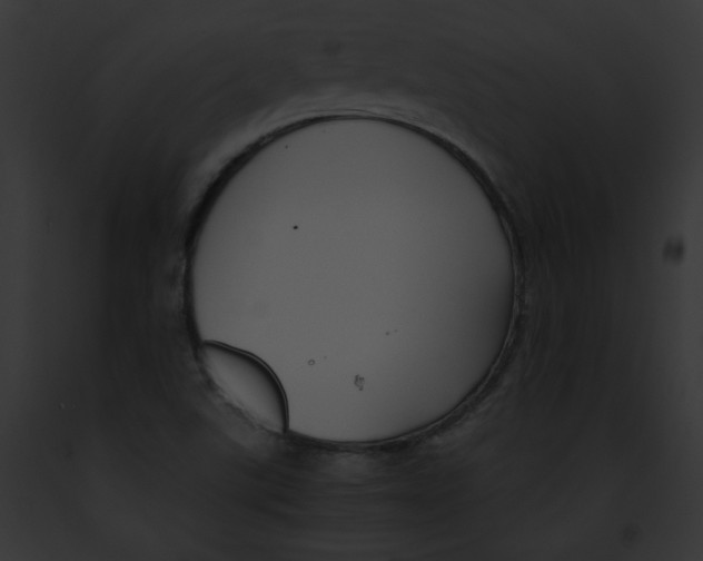 X0000091861507200710031029