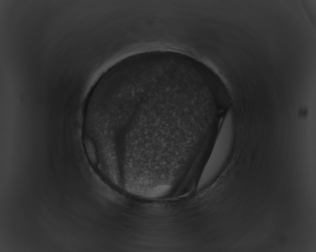 X0000091861508200710031029