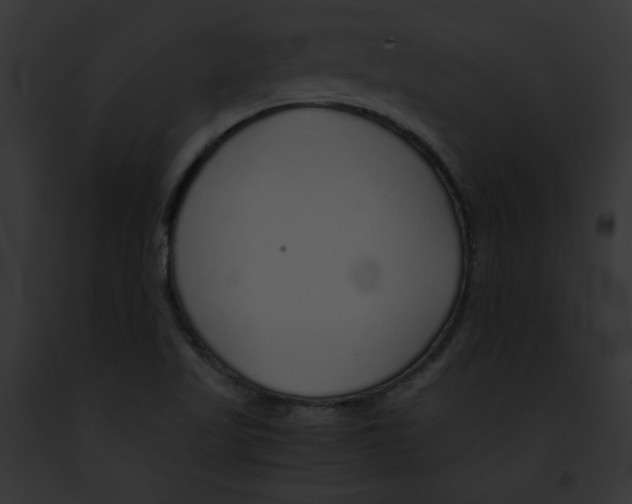 X0000091861509200710031030