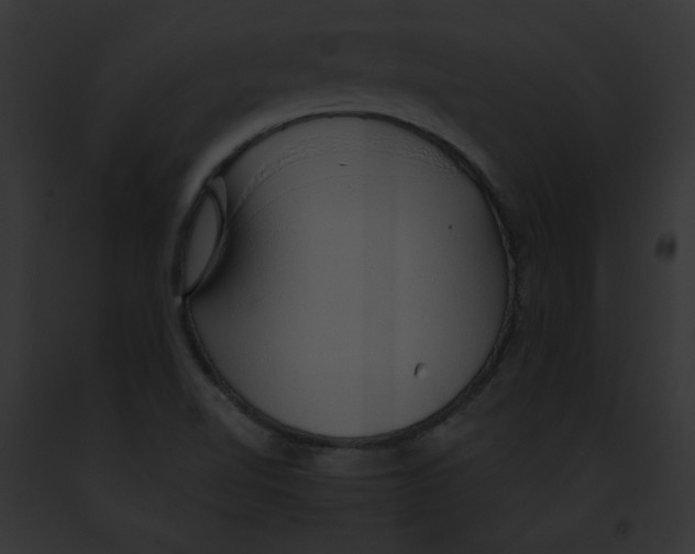 X0000091861510200710031030