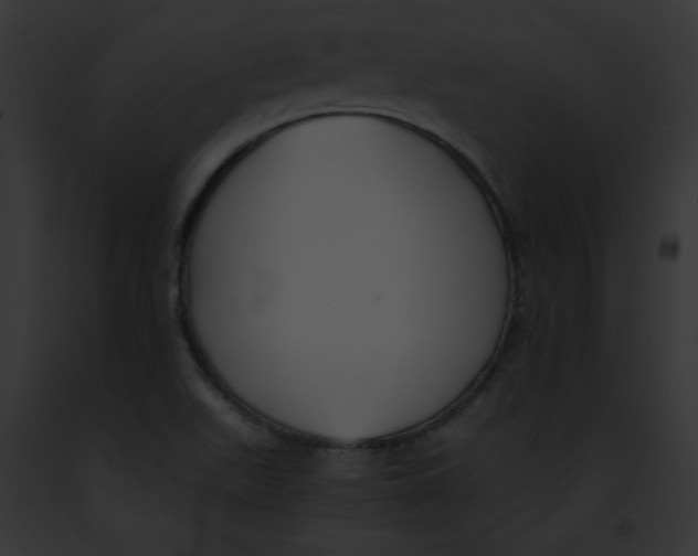 X0000091861511200710031030