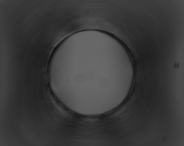 X0000091861513200710031030