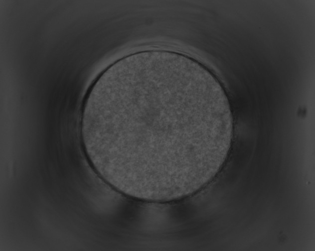 X0000091861514200710031030