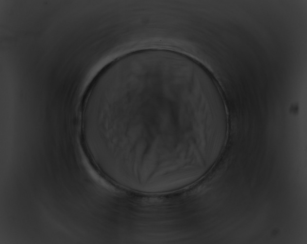 X0000091861515200710031030