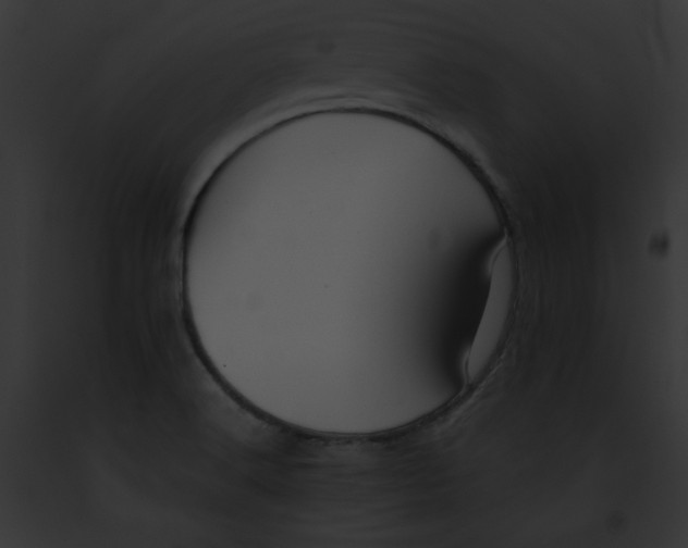 X0000091861516200710031030