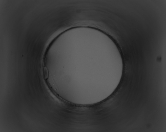 X0000091861517200710031030