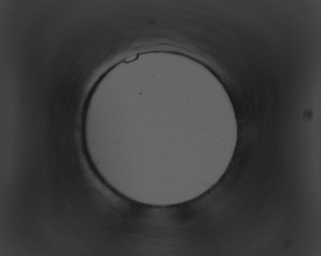 X0000091861518200710031030