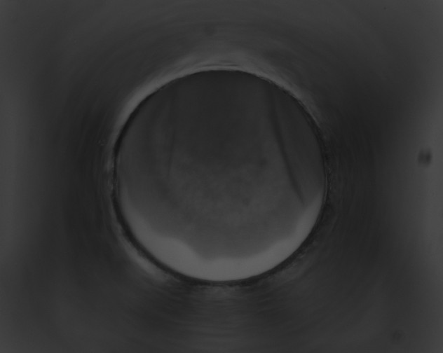 X0000091861519200710031030