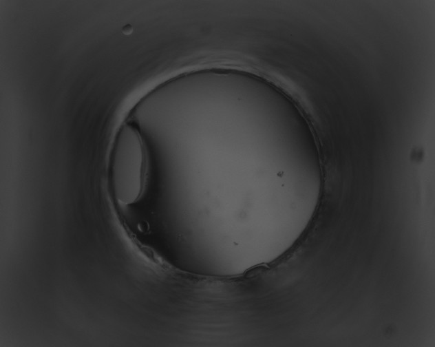 X0000091861520200710031030