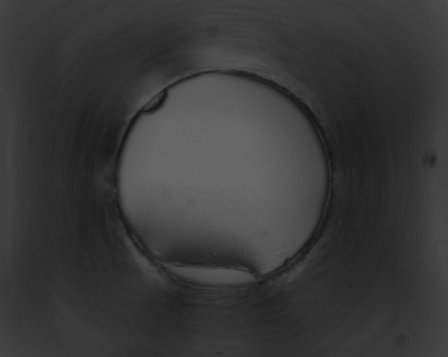 X0000091861521200710031030